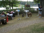 Bilder vom Sommerfest 2013