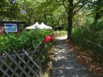 Sommerfest 2018_19